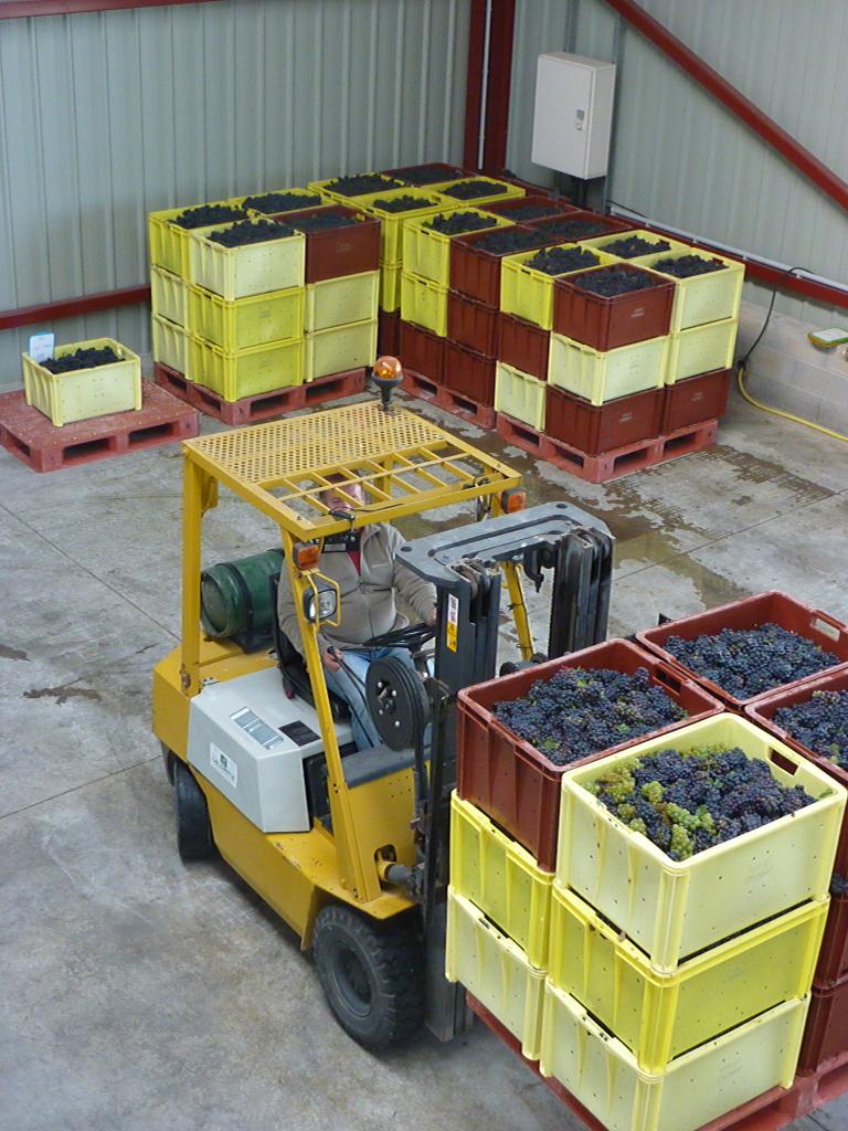 Le livreur de raisin
