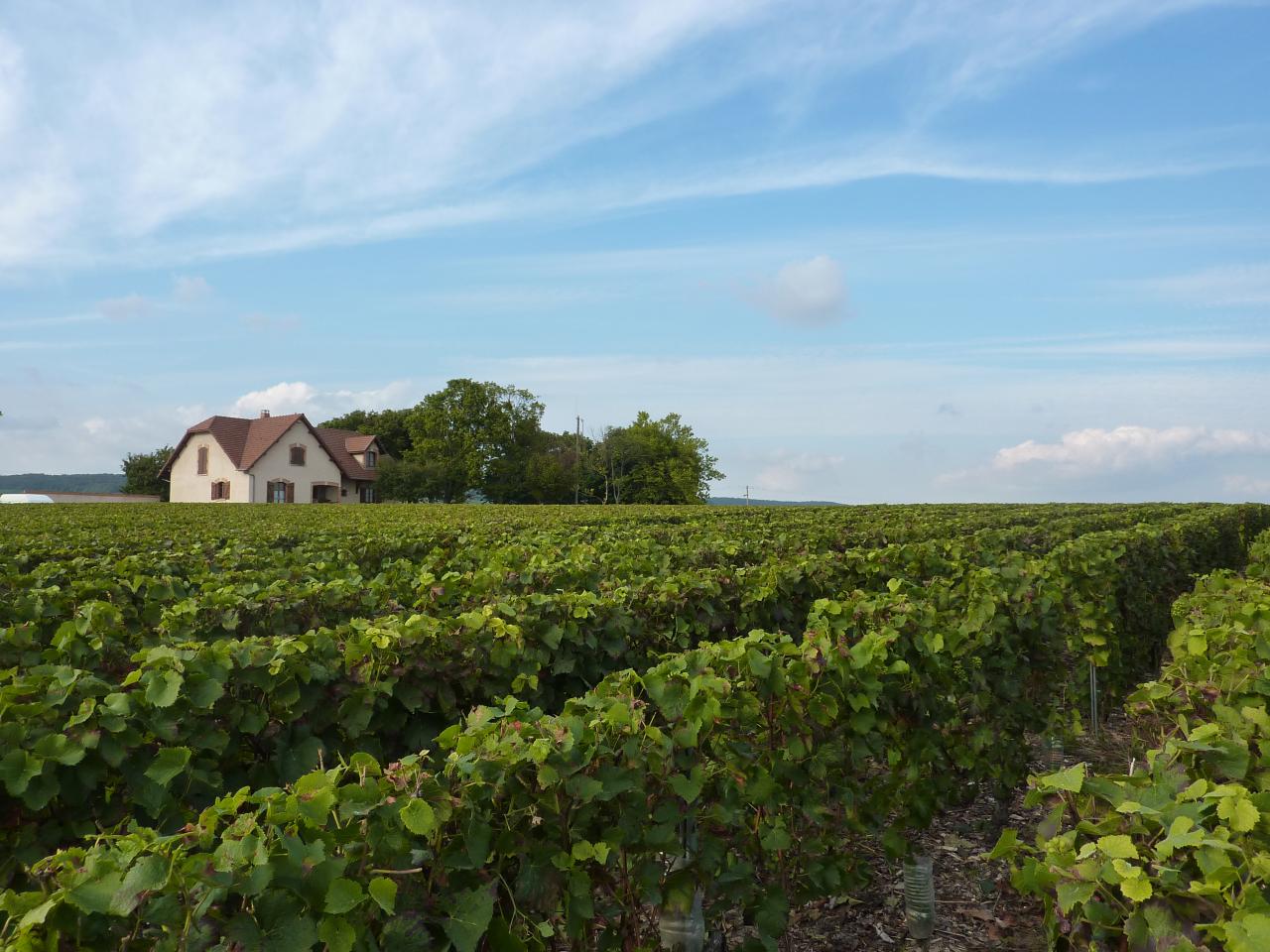 Notre propriété