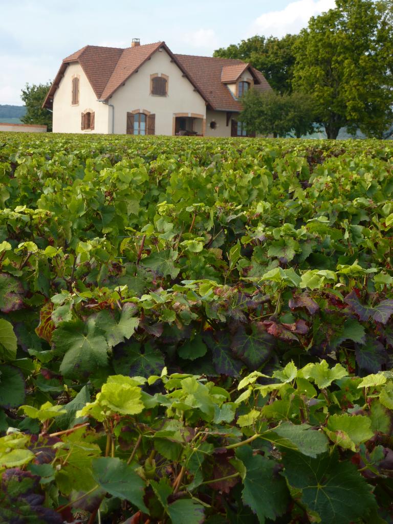 Notre propriété