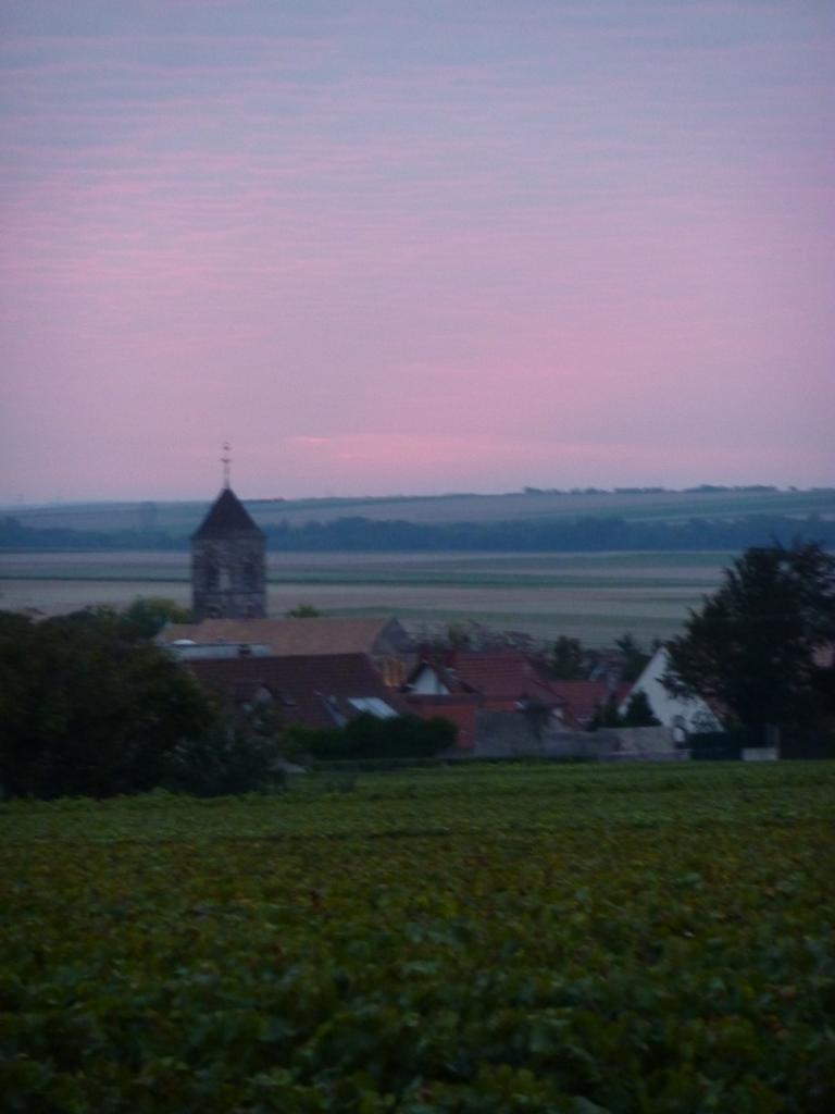 Ambonnay au petit matin