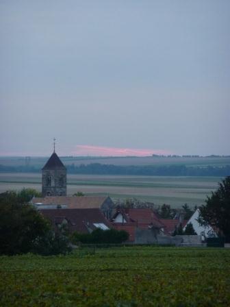 Ambonnay au petit matin (2ème)